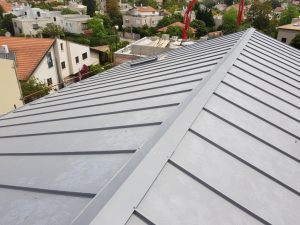 20180503_104722 (Medium)